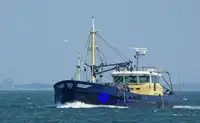 Kapal pukat jaring untuk dijual