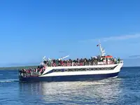Kapal penumpang dijual