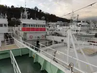 Kapal pukat untuk dijual
