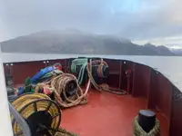 Kapal tunda untuk dijual
