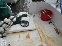Kapal pukat untuk dijual