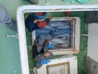 Kapal pukat untuk dijual