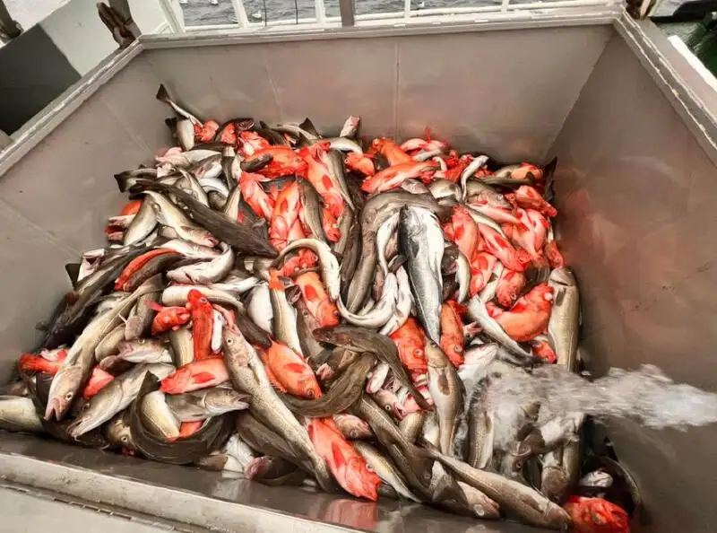 kapal pukat ikan dijual