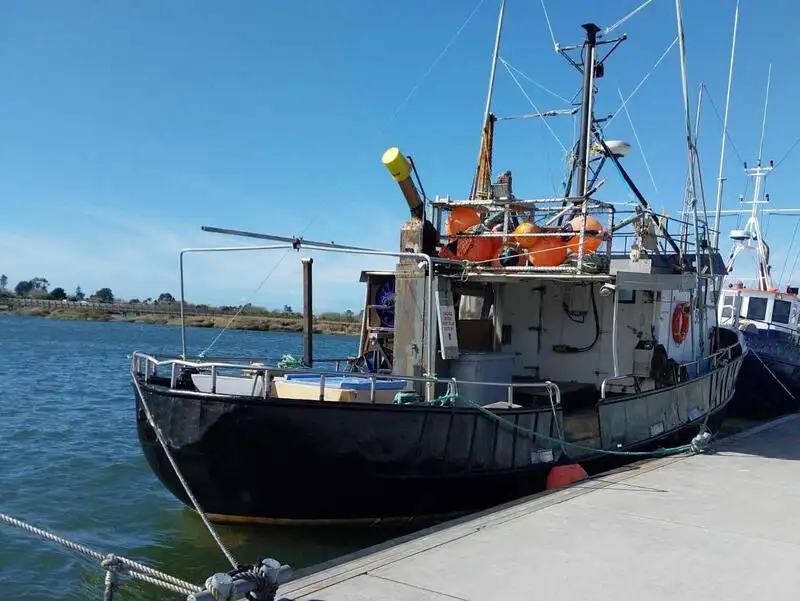 Kapal longline dijual