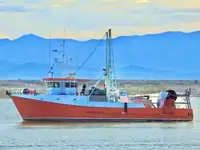 kapal pukat ikan dijual