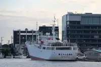 kapal pukat ikan dijual