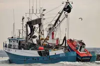 kapal penangkap ikan dijual