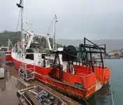 kapal pukat ikan dijual