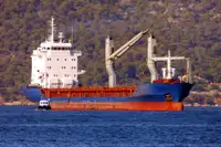 Pengangkut massal dijual