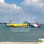 Kerajinan Pendaratan, Tank dijual