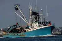 kapal penangkap ikan dijual