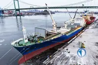kapal karang dijual