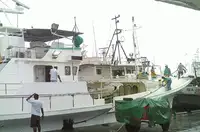 Kapal longline dijual